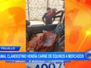 Trujillo: camal clandestino vendía carne de equinos a mercados