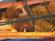 Huaraz: realizan “Festicuy” por día mundial de la alimentación