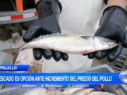 Trujillo: pescado es opción ante incremento del precio del pollo