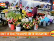Flores de todo precio por Día de Todos los Santos