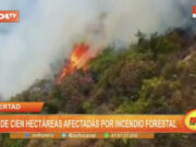 La Libertad: más de cien hectáreas afectadas por incendio forestal
