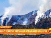 La Libertad: incendio forestal preocupa a pobladores de Cascas