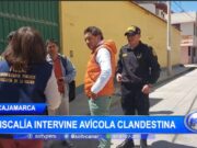 Cajamarca: fiscalía intervine avícola clandestina