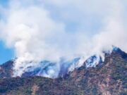 La Libertad: registran incendio forestal en cerro de Cascas