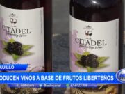 Trujillo: producen vinos a base de frutos liberteños