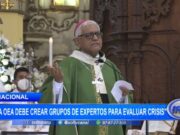 Miguel Cabrejos: “la OEA debe crear grupos de expertos para evaluar crisis”