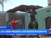 Trujillo: Policía Canina presenta a dos nuevos integrantes
