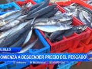Trujillo: comienza a descender precio del pescado