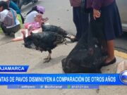 Cajamarca: ventas de pavos disminuyen a comparación de otros años
