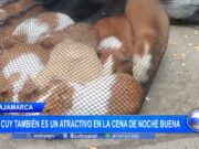 Cajamarca: el cuy también es un atractivo en la cena de noche buena