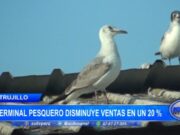 Trujillo: terminal pesquero disminuye ventas en un 20 %