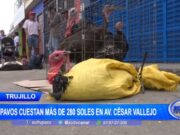 Trujillo: pavos cuestan más de 280 soles en avenida César Vallejo