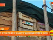 La Libertad: más de 500 cajas de mangos se malogran debido al paro