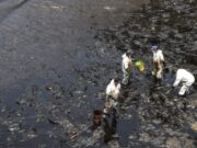 Perú: imponen tres nuevas multas a Repsol por más de 22 millones de soles