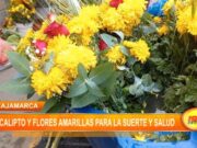 Cajamarca: eucalipto y flores amarillas para la suerte y salud