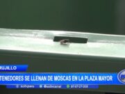 Trujillo: contenedores se llenan de moscas en la plaza mayor