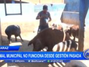 Huaraz: camal municipal no funciona desde gestión pasada