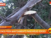 Trujillo: vecinos piden mantenimiento de áreas verdes