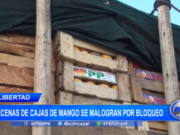 La Libertad: decenas de cajas de mango se malogran por bloqueo