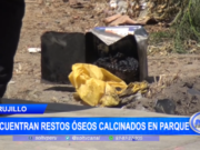 Trujillo: encuentran restos óseos calcinados en parque