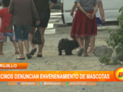 Trujillo: vecinos denuncian envenenamiento de mascotas