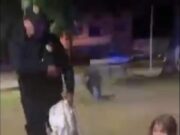 Trujillo: perrito es asesinado de cuatro balazos en Urb. Primavera