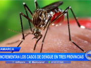 Cajamarca: se incrementan los casos de dengue en tres provincias