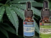 Minsa aprueba reglamento que regula uso medicinal y terapéutico del cannabis