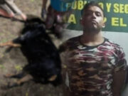 No irá a prisión preventiva sujeto que asesinó a perrito en parque de Trujillo