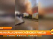 Chile: 22 personas fallecidas producto de los incendios forestales