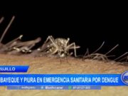Lambayeque y Piura en emergencia sanitaria por dengue