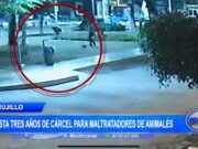 Trujillo: hasta tres años de cárcel para maltratadores de animales
