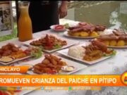 Lambayeque: emprendedores promueven crianza del paiche en Pítipo