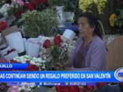 Trujillo: rosas continúan siendo un regalo preferido en San Valentín
