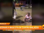 Trujillo: asesinan a mascota de cuatro balazos