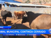 Huaraz: camal municipal continúa cerrado