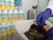 Jóvenes crean gomitas fortificadas con macroalgas para reforzar el sistema inmune de niños y adultos
