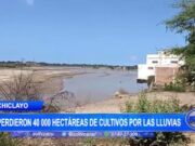 Lambayeque: se perdieron 40 000 hectáreas de cultivos por las lluvias
