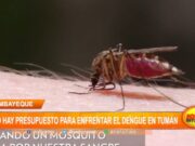 Lambayeque: no hay presupuesto para enfrentar el dengue en Tumán