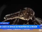 La Libertad: 156 casos de dengue se registran en la región