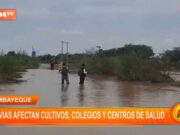 Lambayeque: lluvias afectan cultivos, colegios y centros de salud