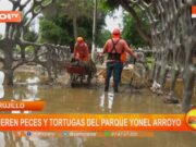 Trujillo: mueren peces y tortugas del parque Yonel Arroyo