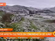 Áncash: nieve afecta cultivos en comunidad 24 de junio