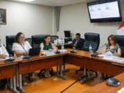Minsa busca reducir índice de anemia en menores de tres años a nivel nacional