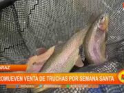 Huaraz: promueven venta de truchas por Semana Santa