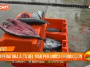 Trujillo: temperatura alta del mar perjudica producción de pescado