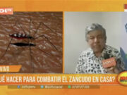¿Qué hacer para combatir el zancudo en casa?