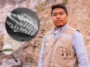 Becario arequipeño halla y estudia fósiles de animales de casi 300 millones de años
