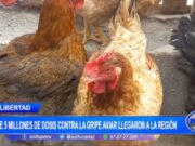 La Libertad: más de 5 millones de dosis contra la gripe aviar llegaron a la región
