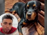 Hombre que mató a perrito Theo irá a prisión preventiva